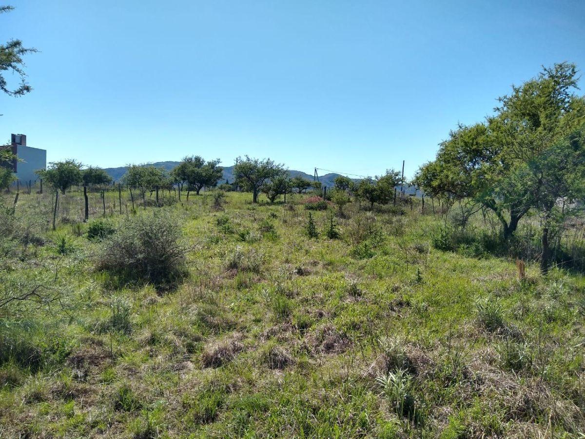 Oportunidad, Venta Terreno, en Los Espinillos - Imagen 2