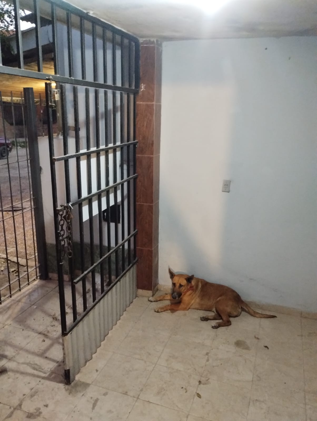 🏡 Casa de 3 Dormitorios con Garage Doble y Patio con Asador – ¡Ideal para Familia! - Imagen 2