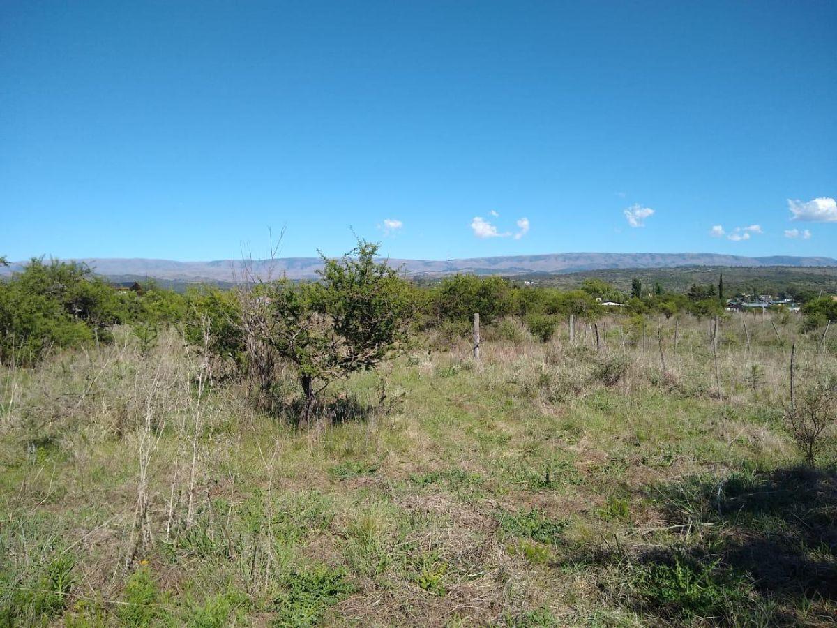 Oportunidad, Venta Terreno, en Los Espinillos - Imagen 4