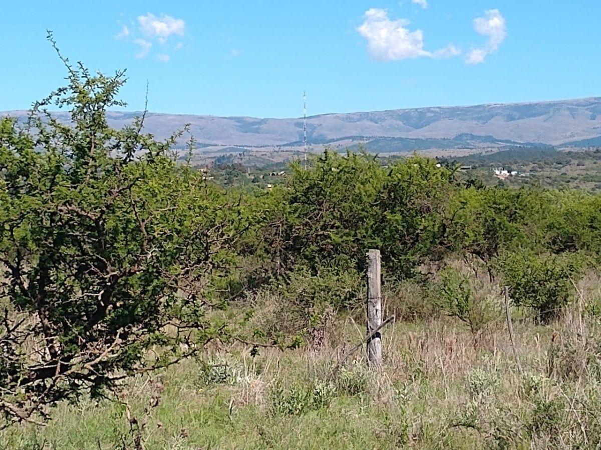 Oportunidad, Venta Terreno, en Los Espinillos - Imagen 3